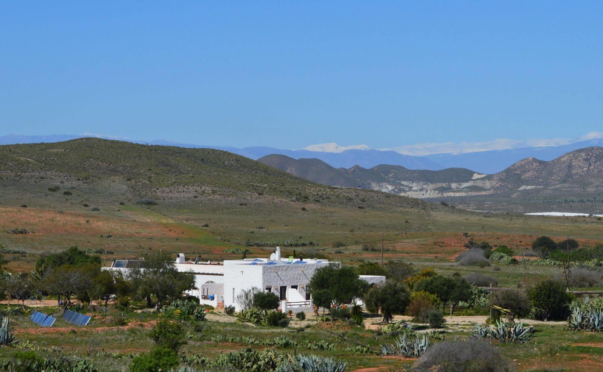 Cortijo el Campillo Hostal Los Albaricoques Exterior foto